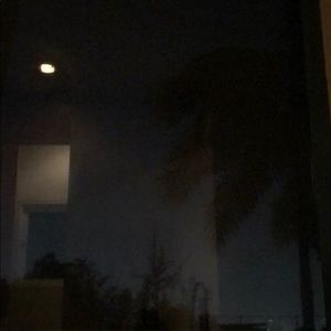 Meet your Posher, Eva